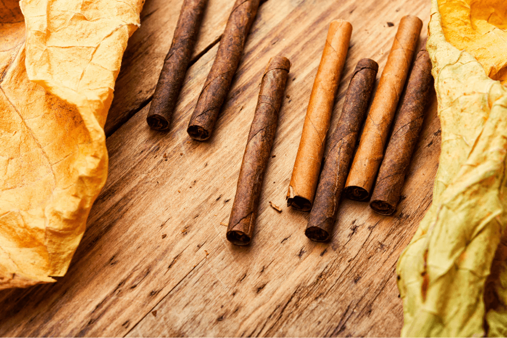 cigars-and-tobacco-leaves-2022-11-16-11-14-32-utc 1ss-min